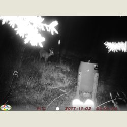  MMS/GPRS vildtkamera Bolyguard SG880(D)-18mHD.