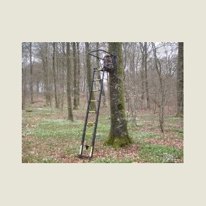 Jagtstiger - Hochzitse.