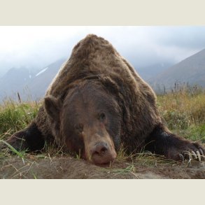 Alaska the last Frontier.