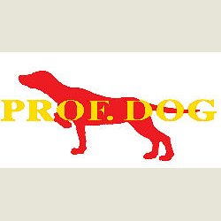 Transportkasse til din hund.