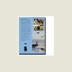 Jagtfilm g�sejagt med lokkefugle